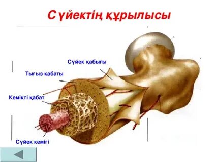 Бригада телехикаясынан жалаңаш Оля
