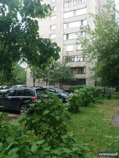 2 комнатные в пушкино