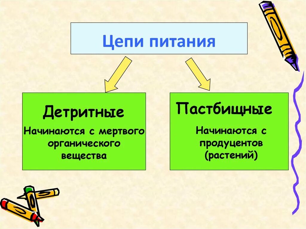 Приведите примеры детритных пищевых цепей. Пастбищные и детритные цепи питания. Детритная цепь питания. Типы цепочек питания. Типы цепей питания детритные.