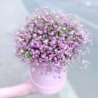 Цветы с маленькими цветочками