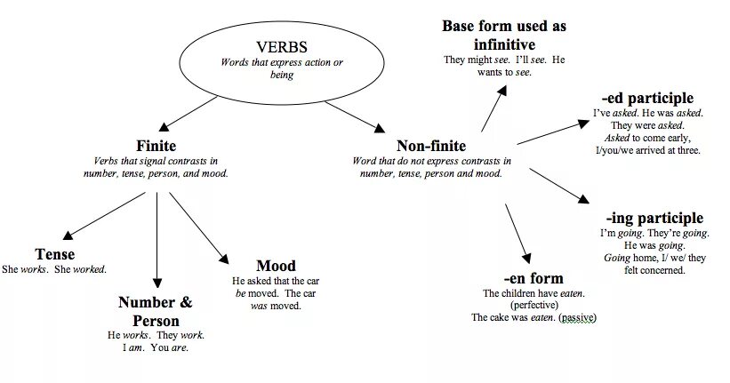 Infinite forms. Finite verb. non finite verbs. finite infinite verbs. non finite forms of the verb грамматика.