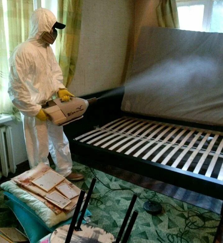 Травить клопов спб. Дезинфекция клопов. клопы дезинфекция санкт-петербург.