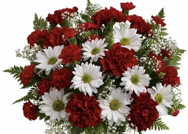 Ромашка и гвоздика. Букет розы хризантемы и гипсофилы. Букет ромашка диантусы. Ромашковые хризантемы и диантус. Букет лилии и пионы.