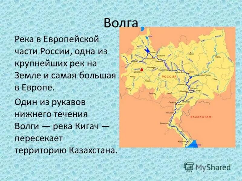 Где протекает волга на каком материке