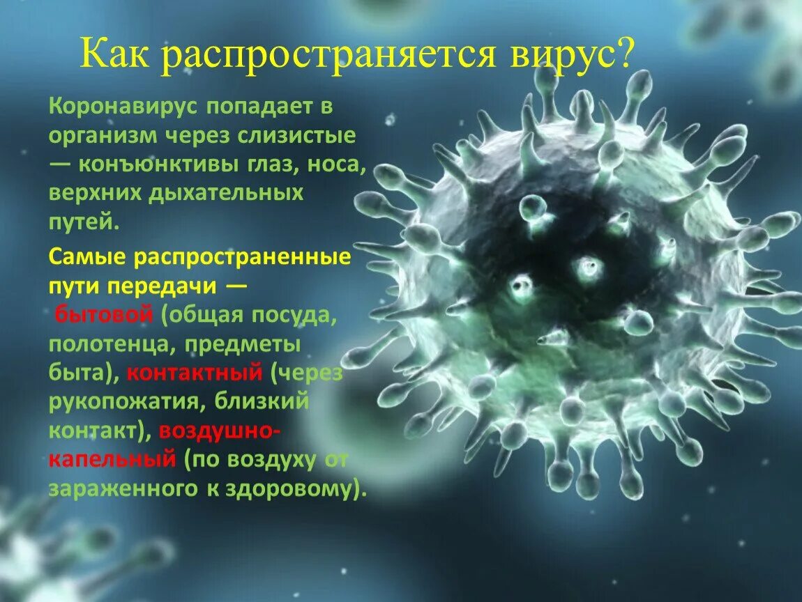 Вирус раз и навсегда. Вирус. вирусные заболевания коронавирус. вирусы картинки. современные вирусы.