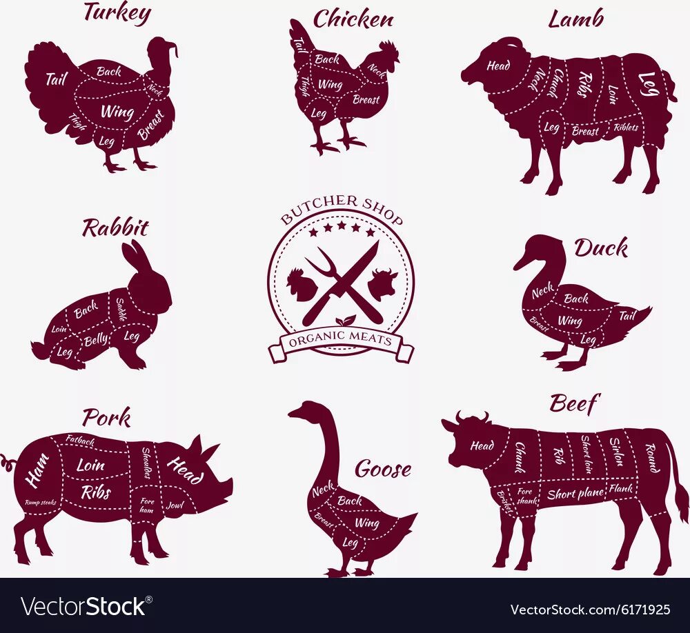 Animals menu