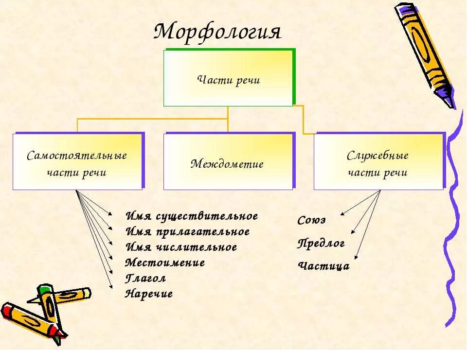 Что изучает морфология 5 класс. Разделы морфологии русского языка. Морфология делится на. Морфология части речи 5 класс. Общества часть речи