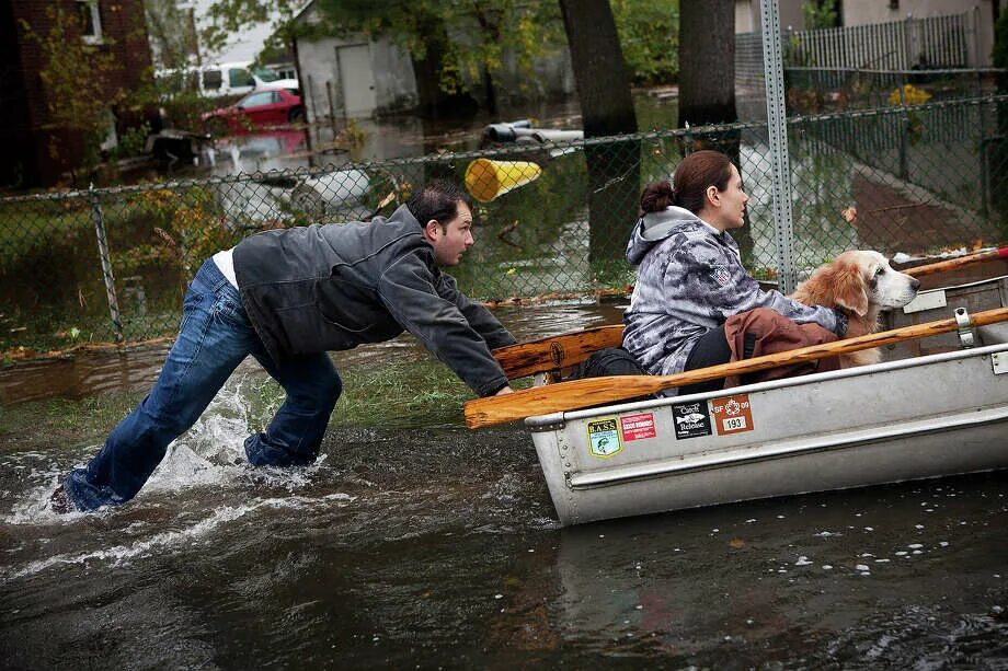 Животные наводнение лодка. Наводнение лодка. На лодке по улице. Катер наводнение. Наводнение на лодке по городу.