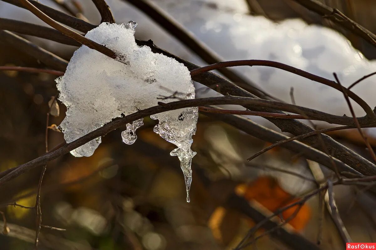 весна немного снега. немного снежно. немного снежно. немного снега. немного снежно.