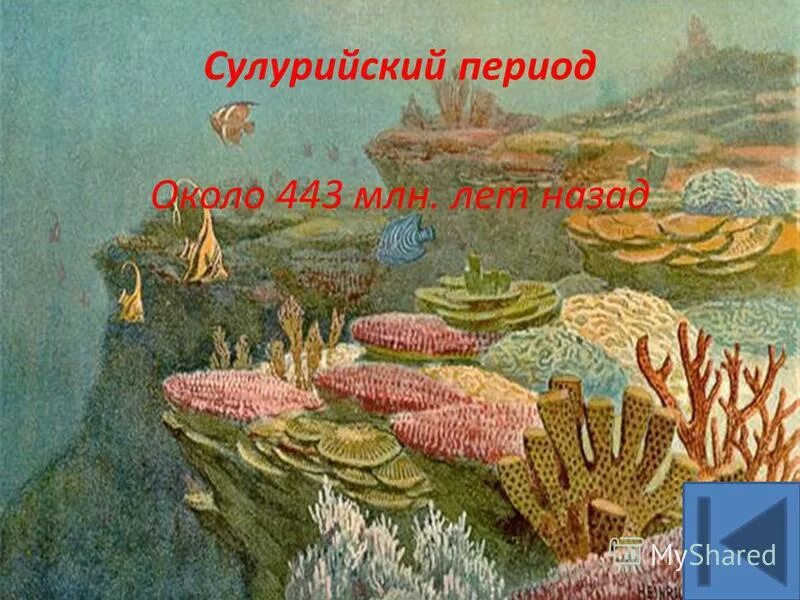Архейская протерозойская палеозойская эра. Архейская протерозойская палеозойская эра