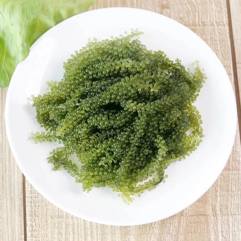 Морской виноград — уми будо. Виноград китайский морской. Caulerpa lentillifera. Морской виноград — уми будо. Фукус морской виноград.