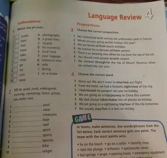 Use the phrases below