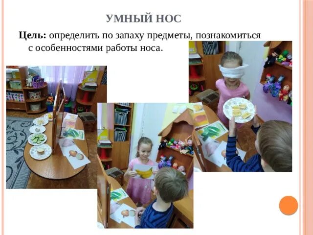 Что позволяет человеку различать предметы по запаху. Узнай предмет по запаху. умный нос. в нашей группе были проведены такие эксперименты «умный нос»,.