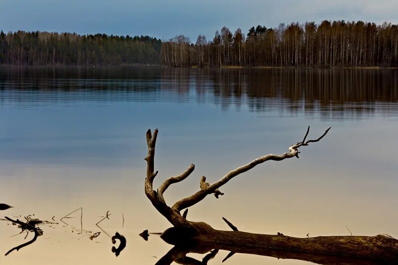 Стен тихая вода. Тихая вода. Тихая вода 2014. Тихая вода картинки. 26 Мая природа.