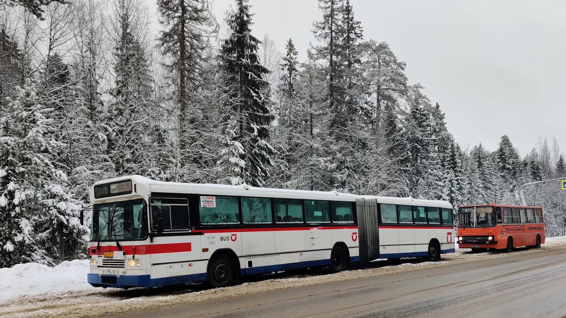 Перегон автобусов