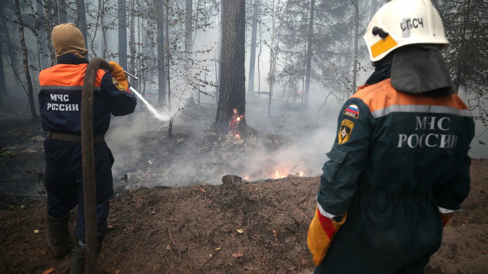 Пожар в д лесная. Пожары и Лесные пожары в России(2021). Лесные пожары в Рязанской области в 2022 году. Лесные пожарные России. Пожары в России 2021.