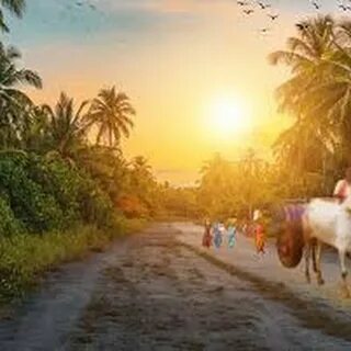 Our village beautiful