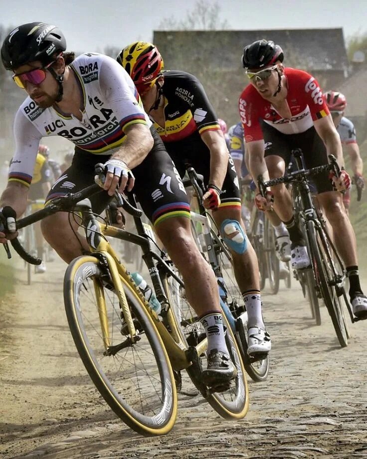 Париж Рубэ 2018. Peter Sagan Paris Roubaix. Велосипедист чемпион. Велогонка Париж Рубэ картина на стену. Велогонка париж