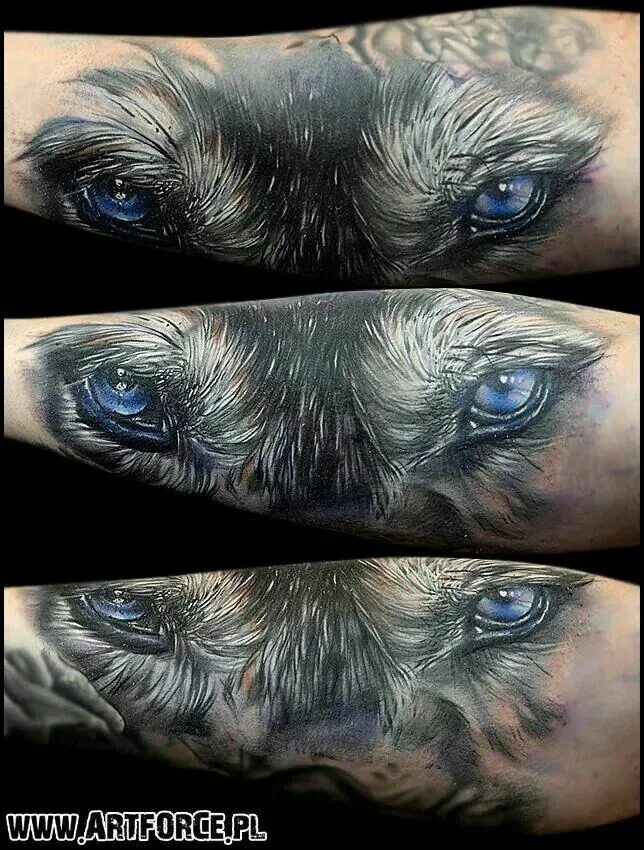 Степан негур кот. Татуировка глаза волка. Тату волчьи глаза. Татуировка глаза волка. Тату волчий взгляд.