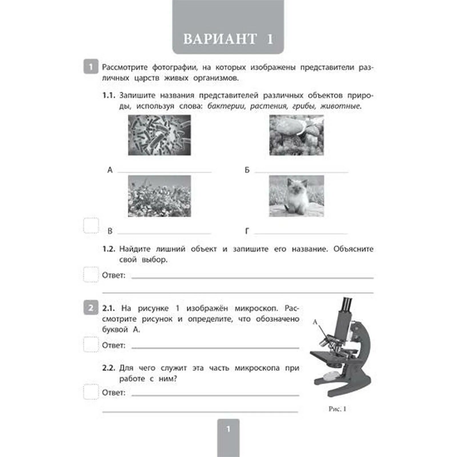 Впр по биологии 5 класс 3 вариант. Впр типовые задания 5 класс биология. впр по по биологии 5 класс 2025. биология 5 класс впр 4 вариант. впр по биологии 2025 год.