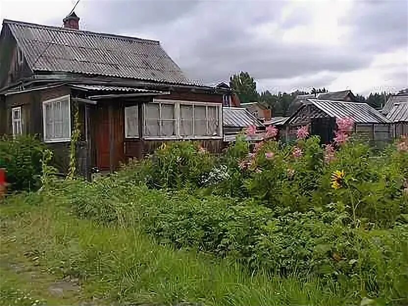 Снт 15 леба нижний тагил сайт. Нижний тагил сады анатольмкая. Земля в пожаре. Пожарная 14 нижний тагил. Коллективные сады нижнего тагила.