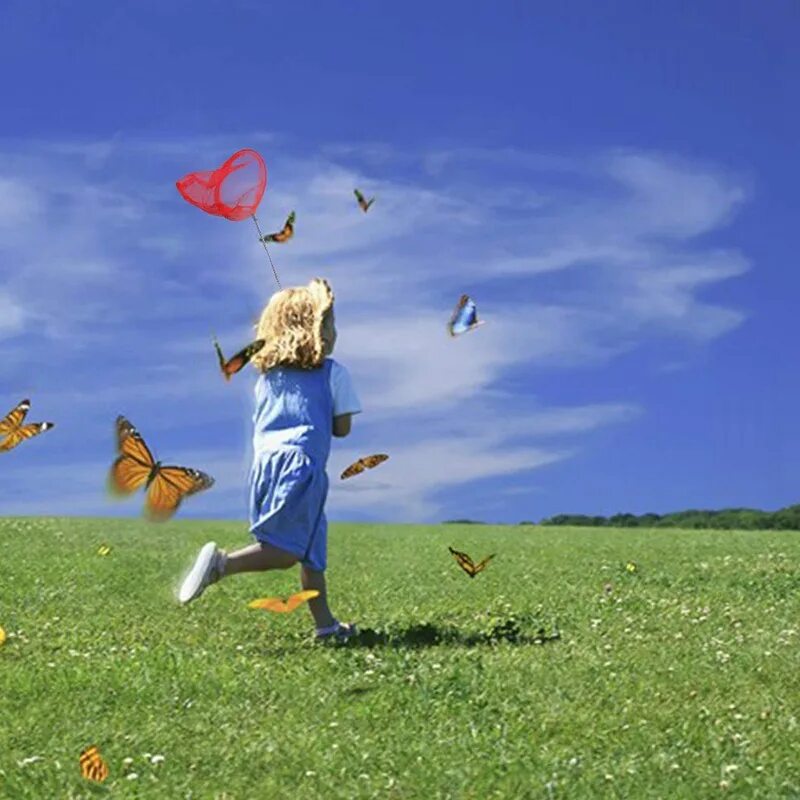 ловить бабочек сачком. сачок для бабочек. человек с сачком. девочка ловит бабочку. ловить бабочек.