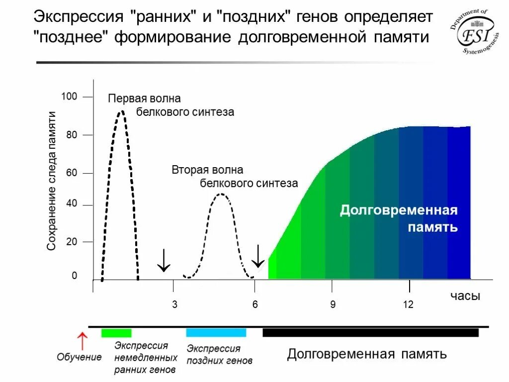 Па мять