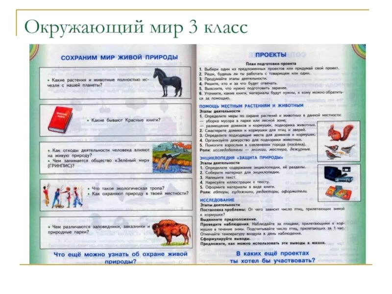 Готовый проект окружающему миру 4 класс. Проектная работа по окружающему миру. Проект 3 класс. Проект по окружающему миру на тему. Проектные работы окружающий мир.