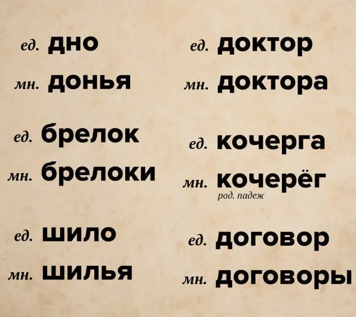 Дно АО множеством числе. Множественное число слова дно. Дно множественное число именительный падеж. Множественнле число Сова дно. Дно мн ч