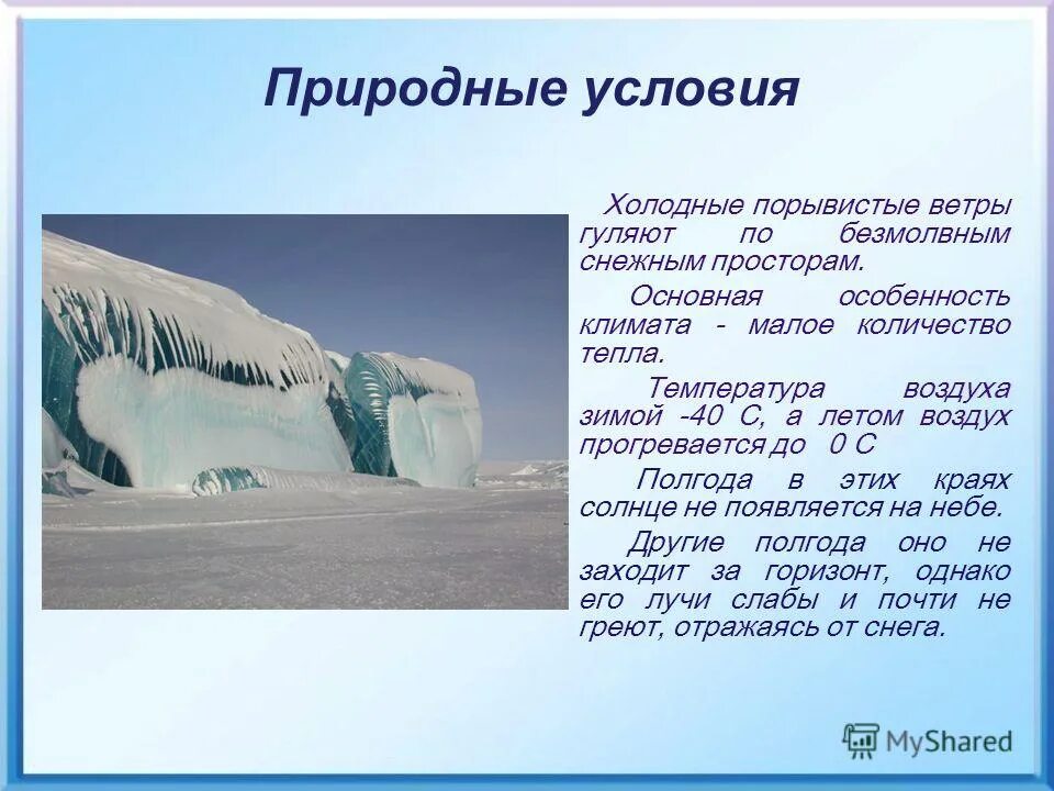 Температура холодного пояса. Природные зоны холодного пояса. Пояс холодного климата. Растения природных зон холодного пояса. Животные холодного пояса презентация.