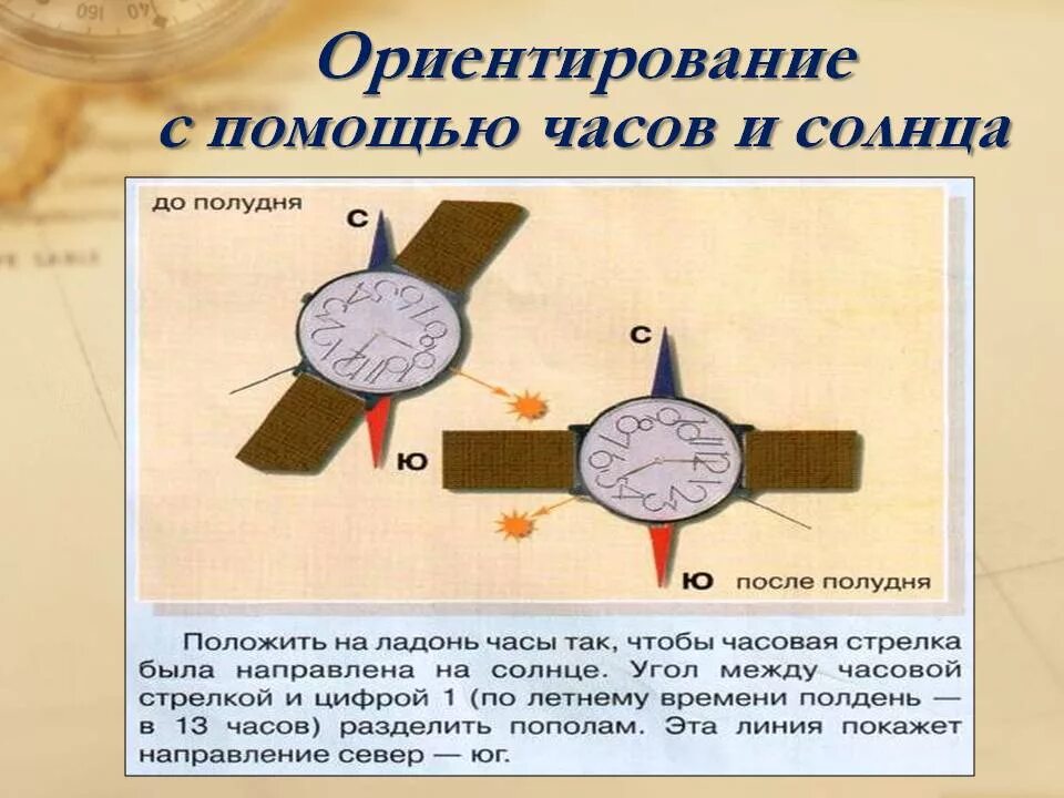 Как определить стороны света по солнцу. Ориентирование на местности. ориентирование на местности с помощью часов. ориентирование с помощью часов и солнца. ориентирование на местности по солнцу и часам.