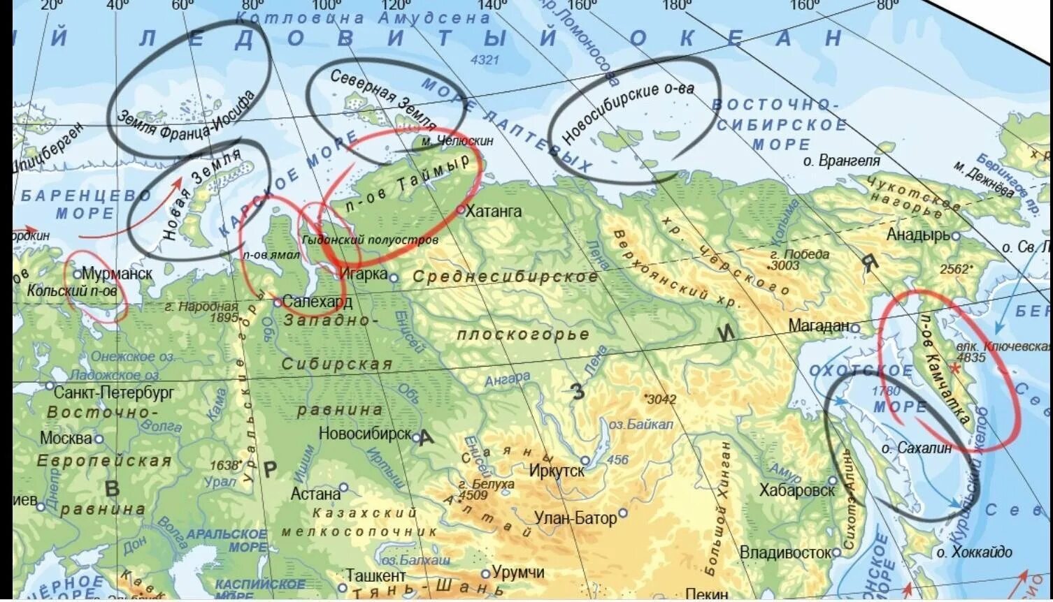 Карта России с островами и полуостровами и морями. Полуострова России на карте. Крупные полуострова России на карте. Полуострова Кольский Камчатка Крымский Ямал Таймыр. Внутренние моря евразии