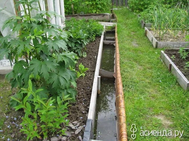 Озеро инле плавучие сады. Озеро инле мьянма. Ацтеки аквапоника. Плавучие грядки в кашмире. Красивые грядки из досок.