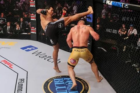 Pfl mma