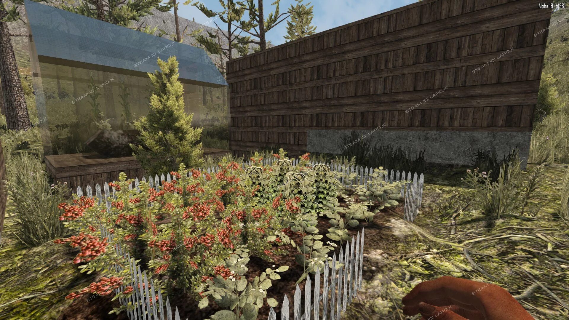 Как установить 7 days to die. 7 days to die. 7 days to die биомы. 7 days to die растения. 7 day огород.
