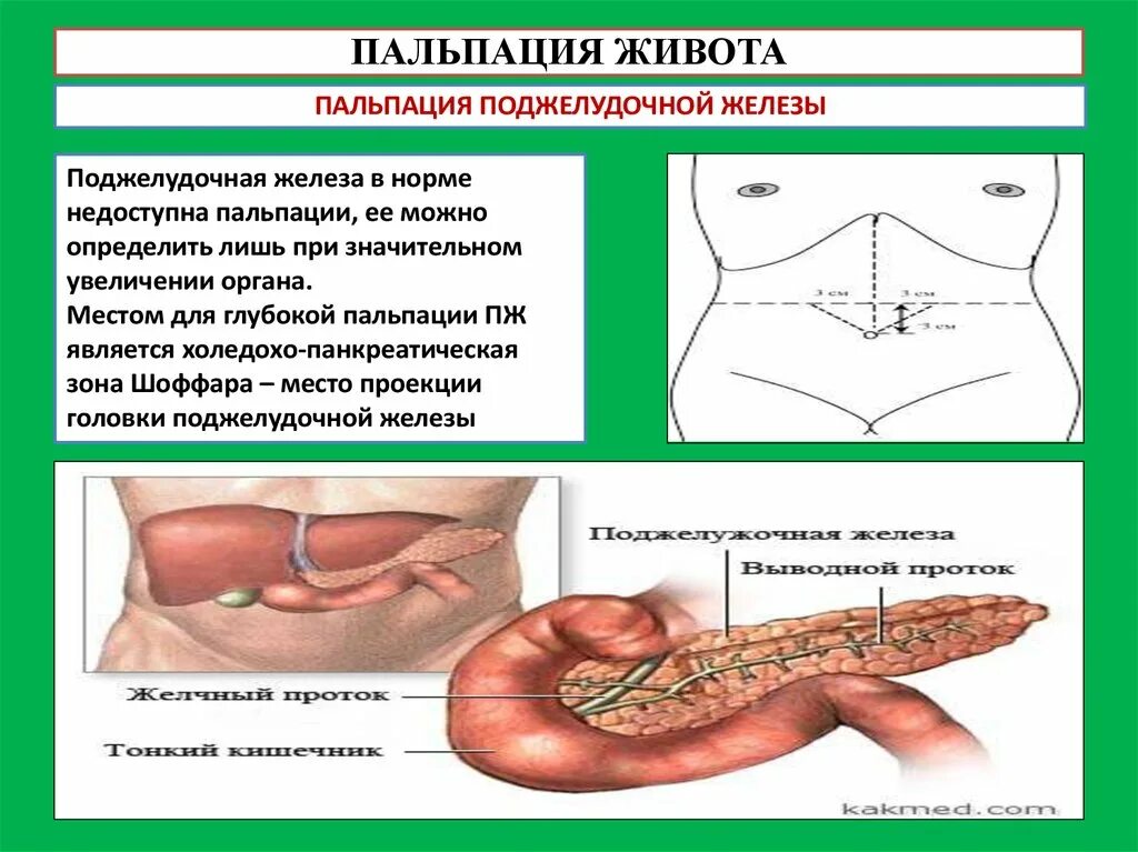 Как можно проверить поджелудочную железу