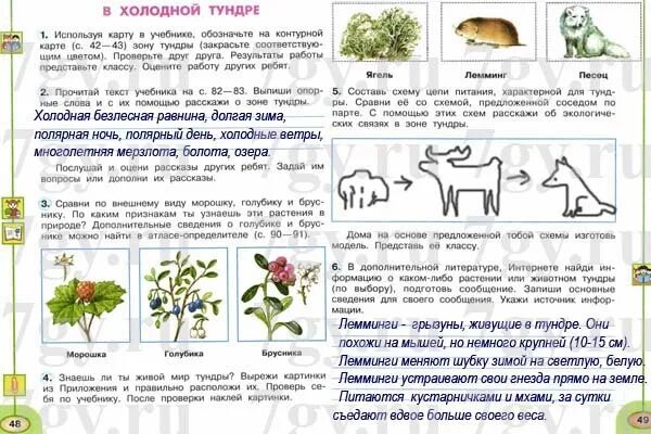 Окружающий мир рабочая тетрадь стр 49. Текст окружающий мир 4 класс. Тундра окружающий мир 4 класс рабочая тетрадь. Задание по окружающему миру тундра. Прочитай текст учебника на странице.