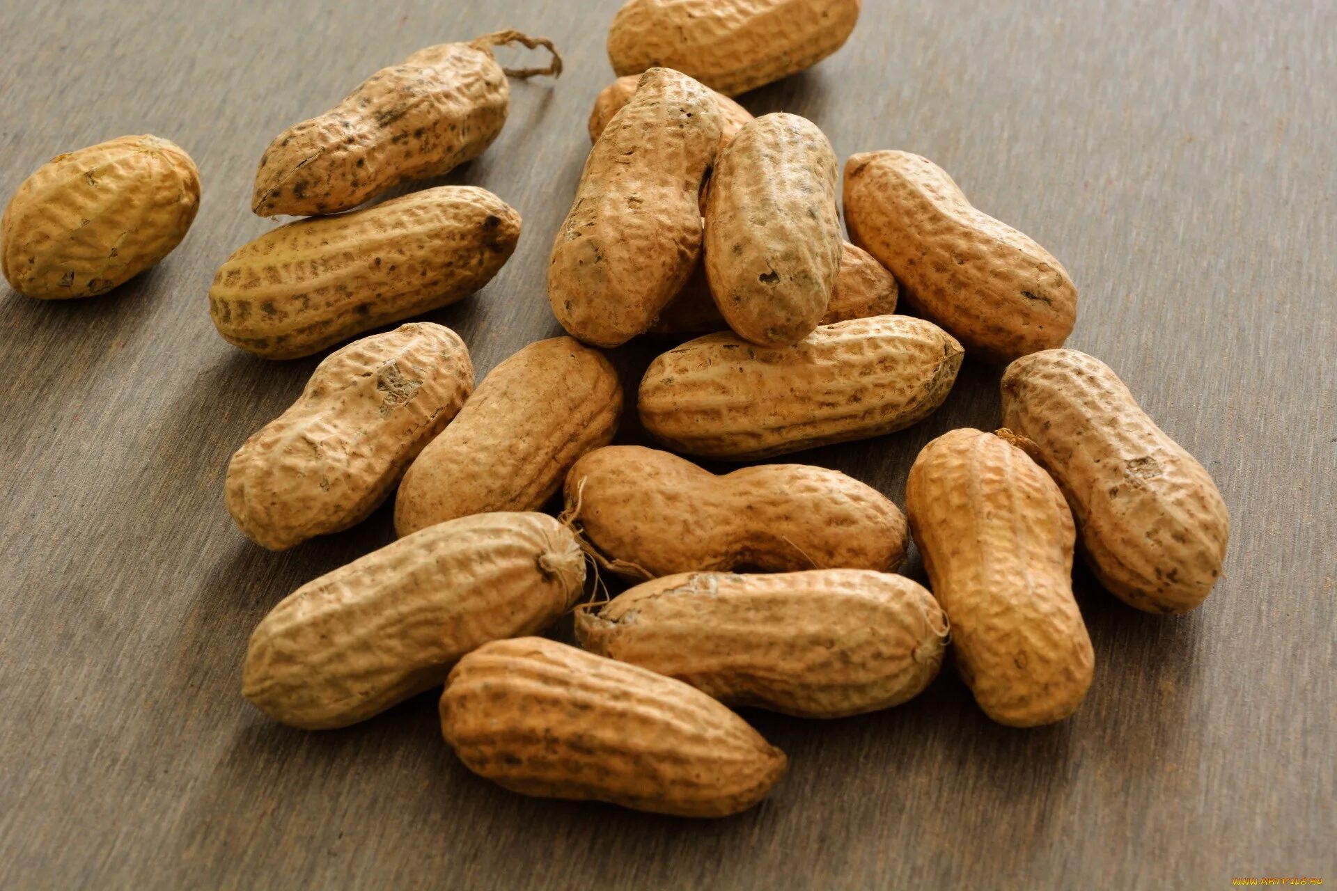 Роды арахиса. Земляной орех арахис. Арахис обыкновенный. Плод арахиса. Арахис неочищенный.