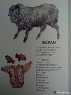 Стих бараны
