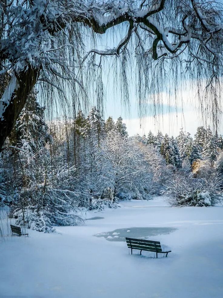 Snow is beautiful. Снежная зима. Снежный пейзаж. Красивая зима. Красивые снежные пейзажи.