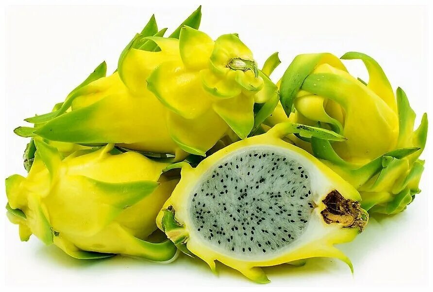Что такое питахайя какой на вкус. Питайя питахайя. Питайя желтая. Питахайя зеленая. Что такое драгон фрукт питахайя.