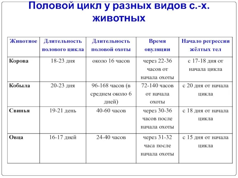 Беременность разных видов животных. Фазы полового цикла у животных. стадии полового цикла у разных видов животных. продолжительность полового цикла у коров. стадии полового цикла коровы.