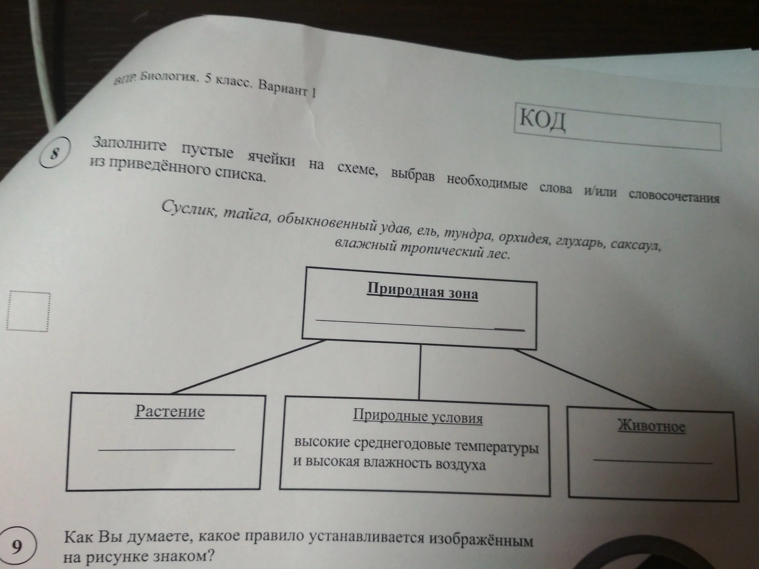 Тайга гадюка верблюд морошка. Заполните пустые ячейки на схеме. Заполните пустые ячейки на схеме выбрав. Схема с пустыми ячейками. Заполните пустые ячейки на схеме выбрав необходимые слова.