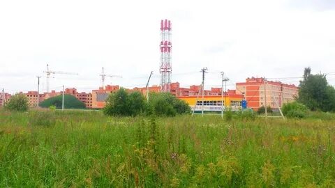 Большое щелково