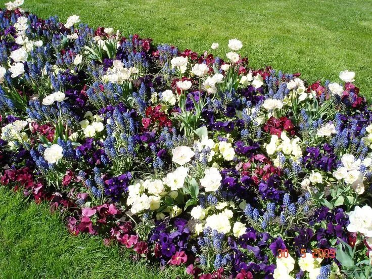 Flower Bed Installations and Designs - Begonia Brothers - Northville Michigan Fr