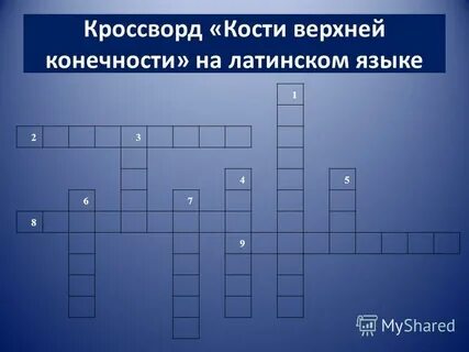 Кости сканворд