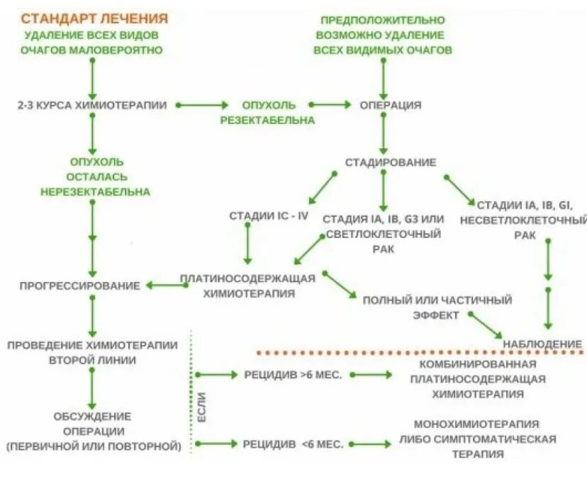 Рак яичников терапия. Химиотерапия при опухоли яичника. Опухоль яичника 4 стадии. Поддерживающая терапия в онкологии. Комбинированные схемы лечения опухолей.