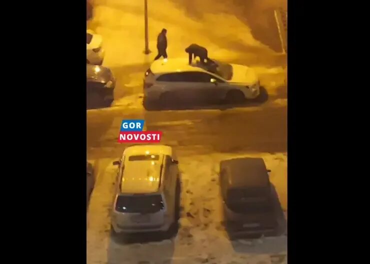 Знакомый разбитый. Знакомый разбитый