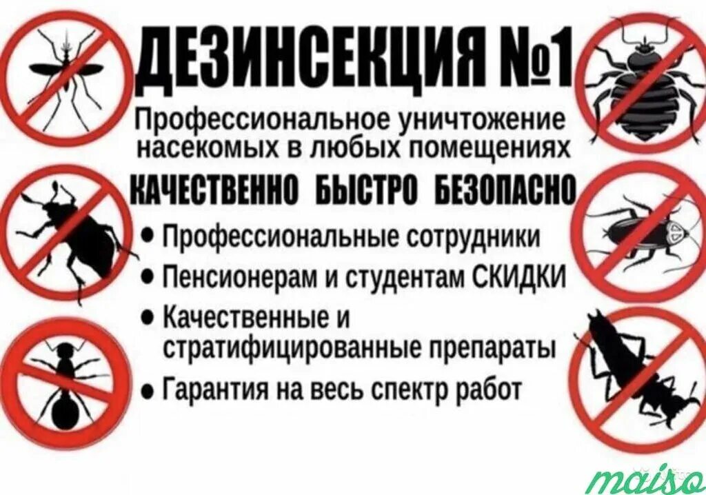 реклама дезинсекции. листовка дезинсекция. реклама дезинсекции. уничтожение насекомых реклама. реклама по дезинсекции.