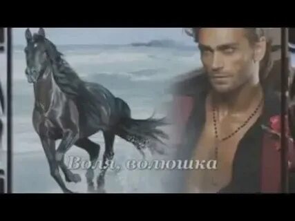Шальную кобылицу